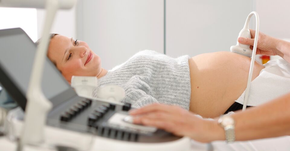 © Studio Mirko Plha