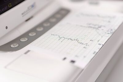 © Studio Mirko Plha