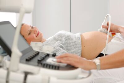 © Studio Mirko Plha